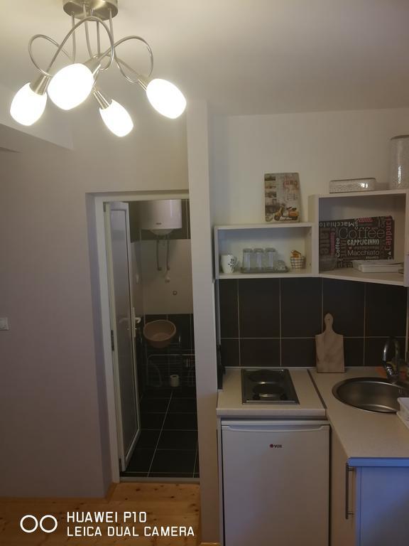 Studio Lenka Sokobanja Extérieur photo